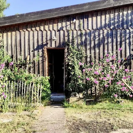 Maison En Bois A 40m Du *
